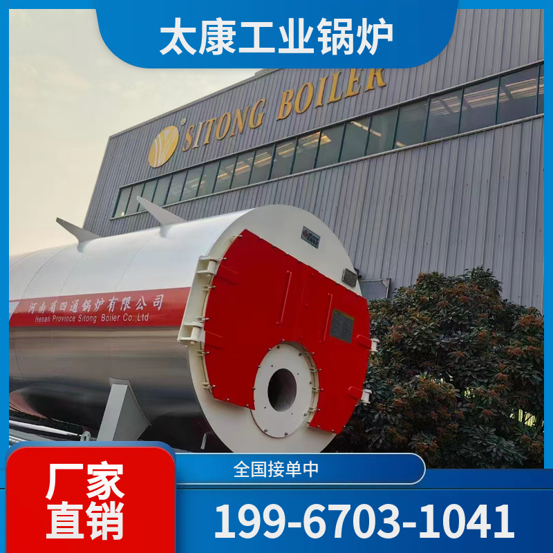 沧州冷凝真空锅炉